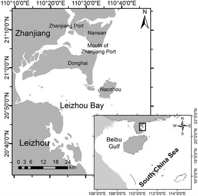 Intra-Population Variability in Group Size of Indo-Pacific Humpback Dolphins (Sousa chinensis)